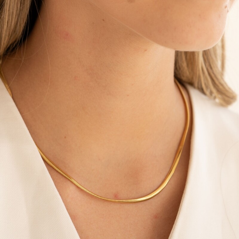 Snake Chain Necklace